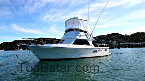 Black Watch 26 tekniska specifikationer och recensioner